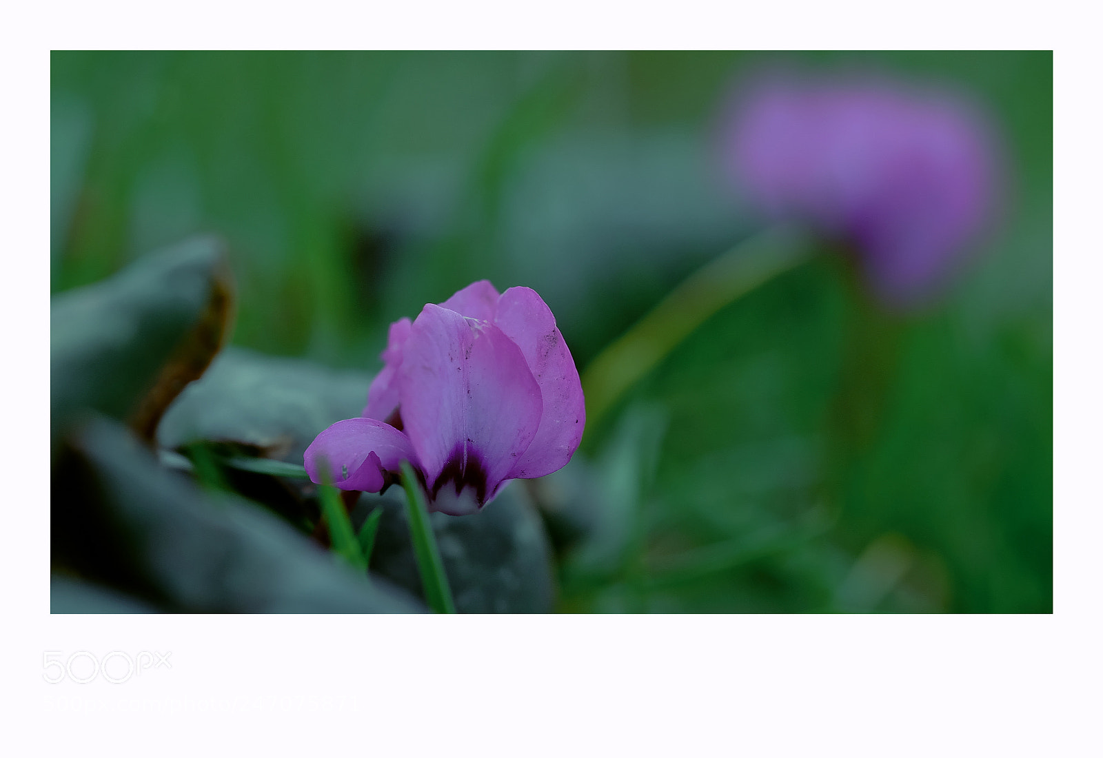 Fujifilm X-T1 sample photo. London photography