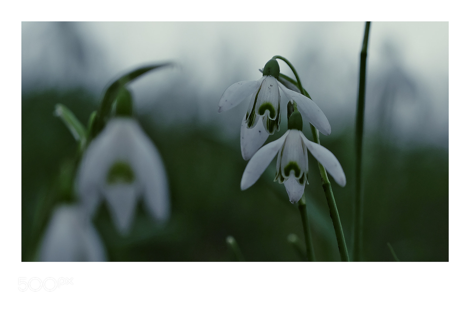 Fujifilm X-T1 sample photo. London photography