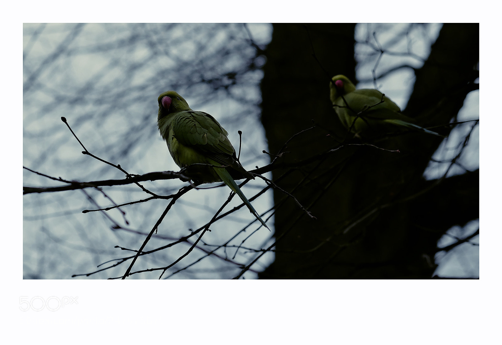 Fujifilm X-T1 sample photo. London photography