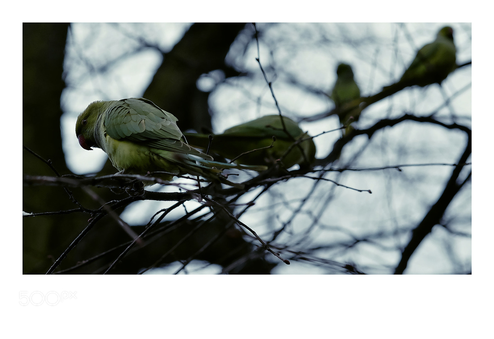 Fujifilm X-T1 sample photo. London photography
