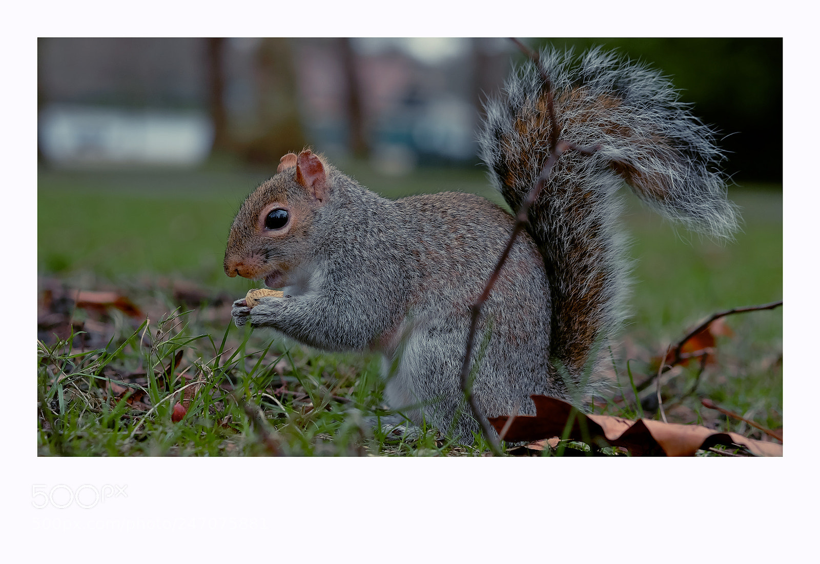 Fujifilm X-T1 sample photo. London photography