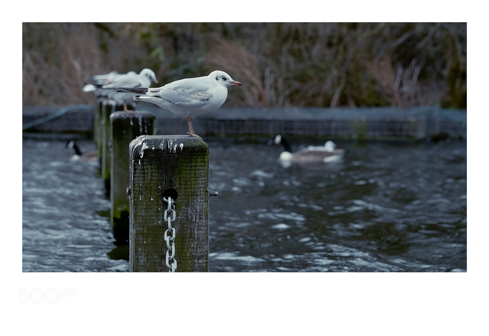 Fujifilm X-T1 sample photo. London photography