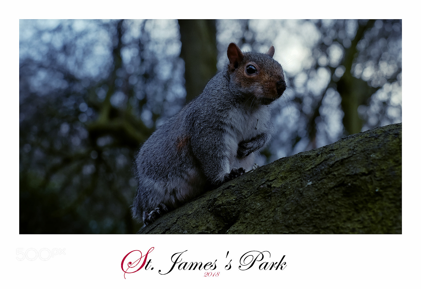 Fujifilm X-T1 sample photo. St. james's park photography