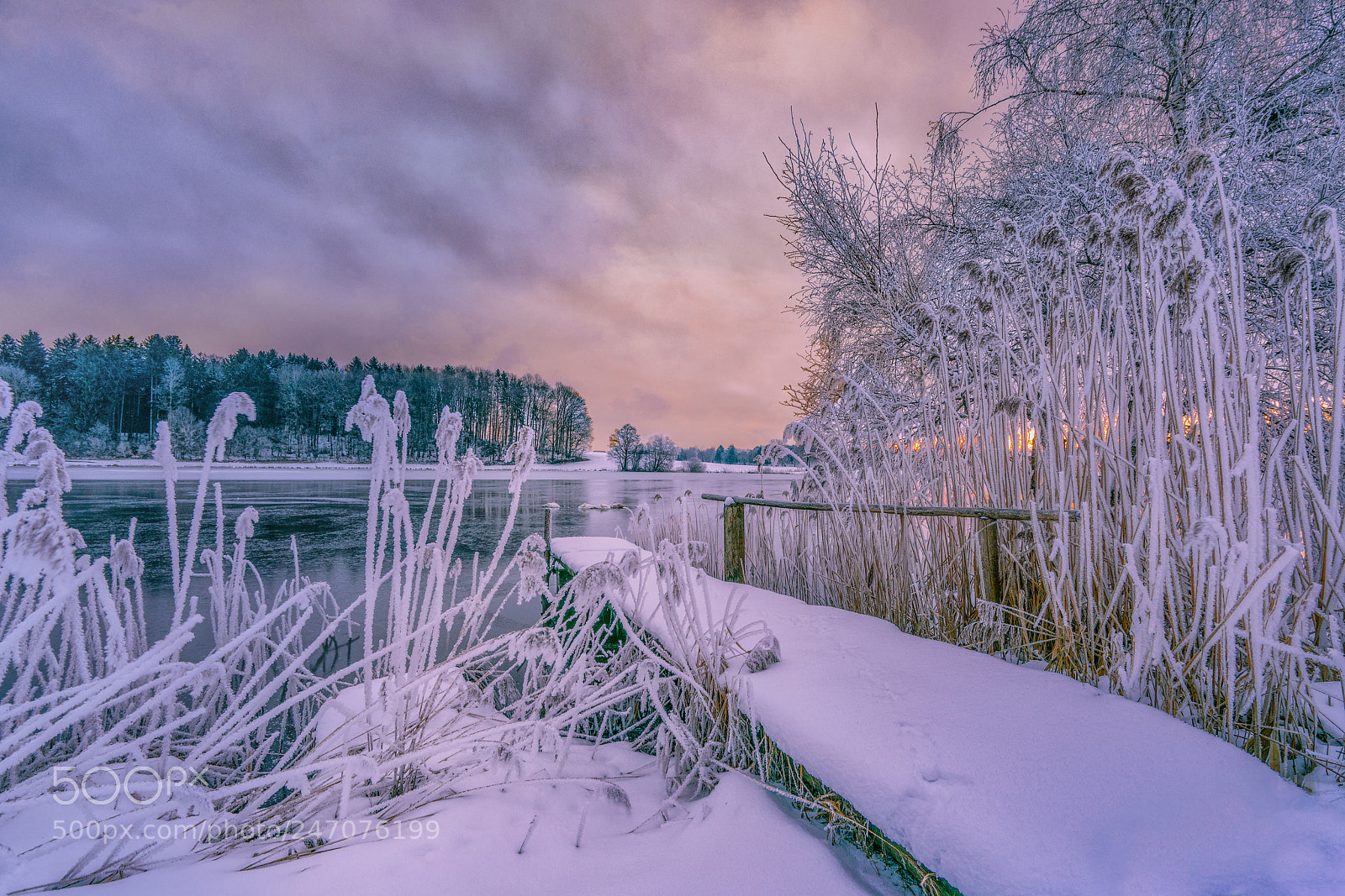 Sony a7R II sample photo. Egelsee-pastell photography