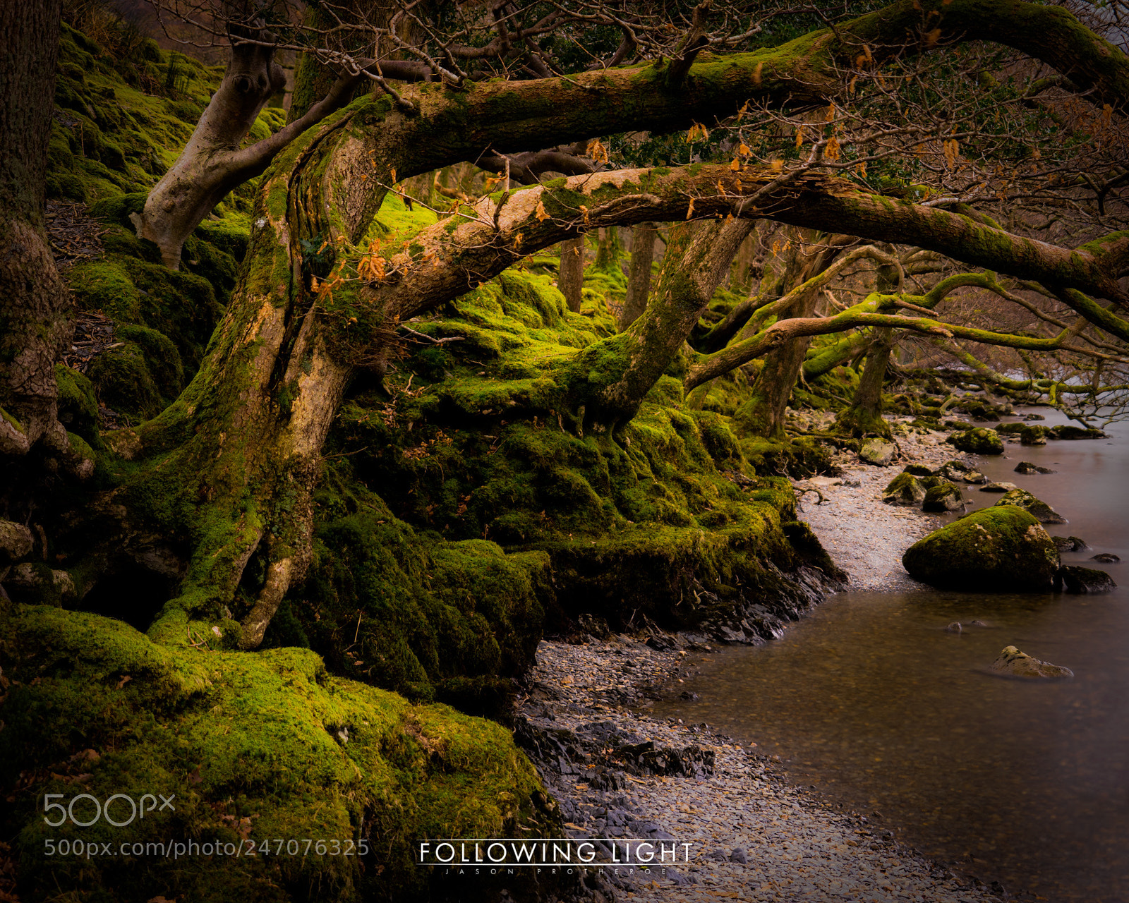 Sony a7 II sample photo. Buttermere shore photography