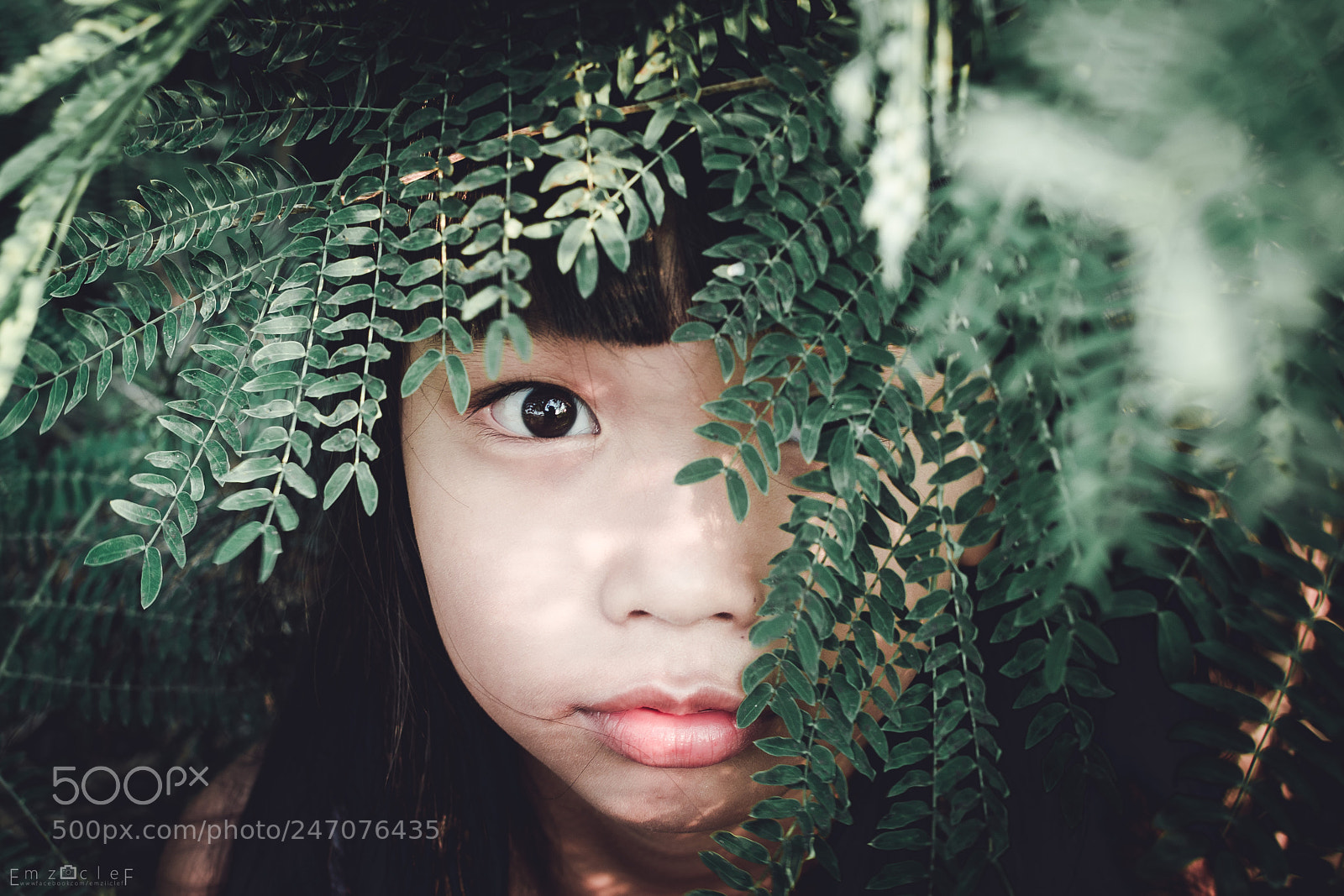 Nikon D7100 sample photo. The story of a photography