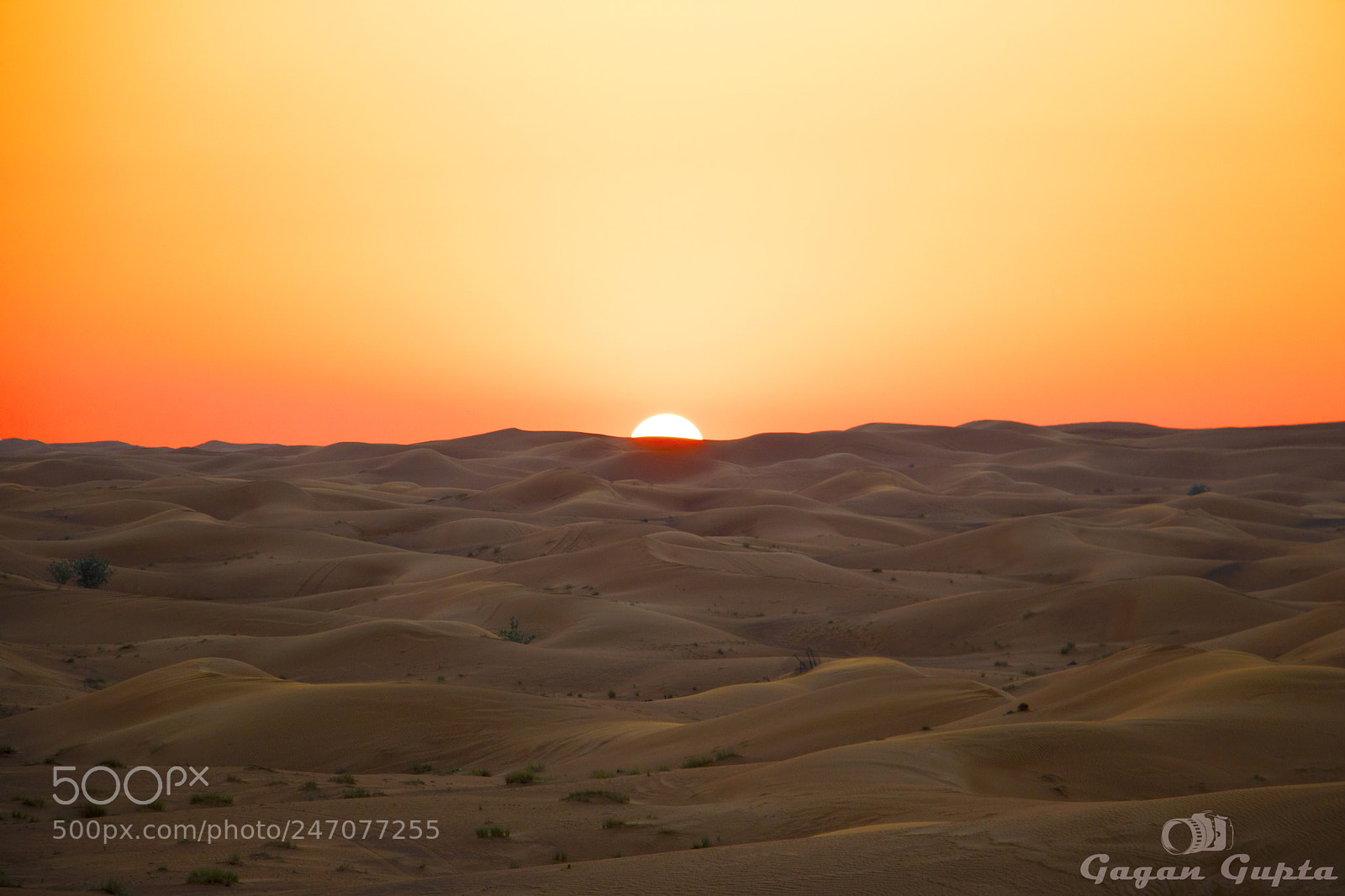 Canon EOS 760D (EOS Rebel T6s / EOS 8000D) sample photo. Taken in dubai. the photography