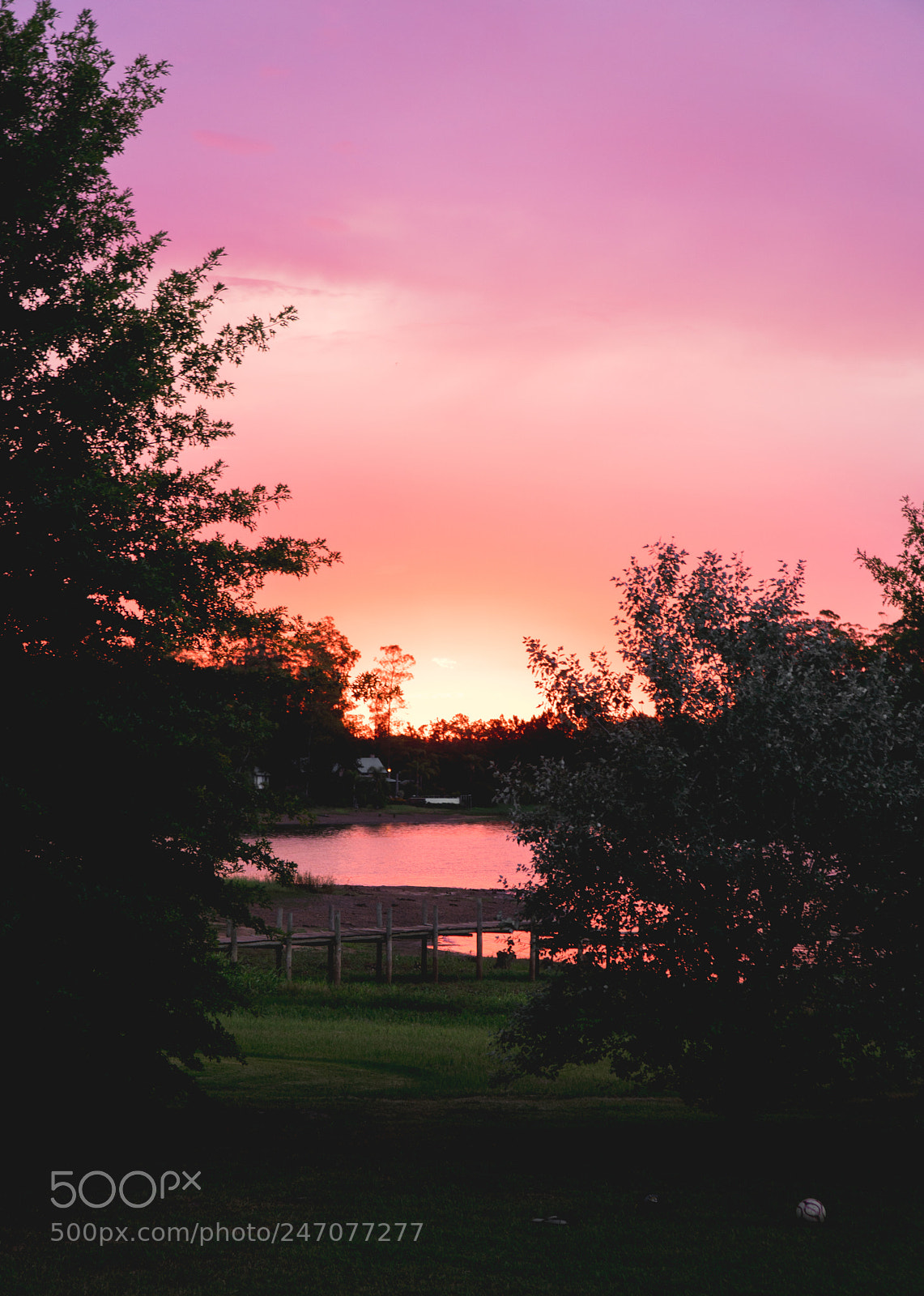 Sony a6500 sample photo. Rose sunset photography