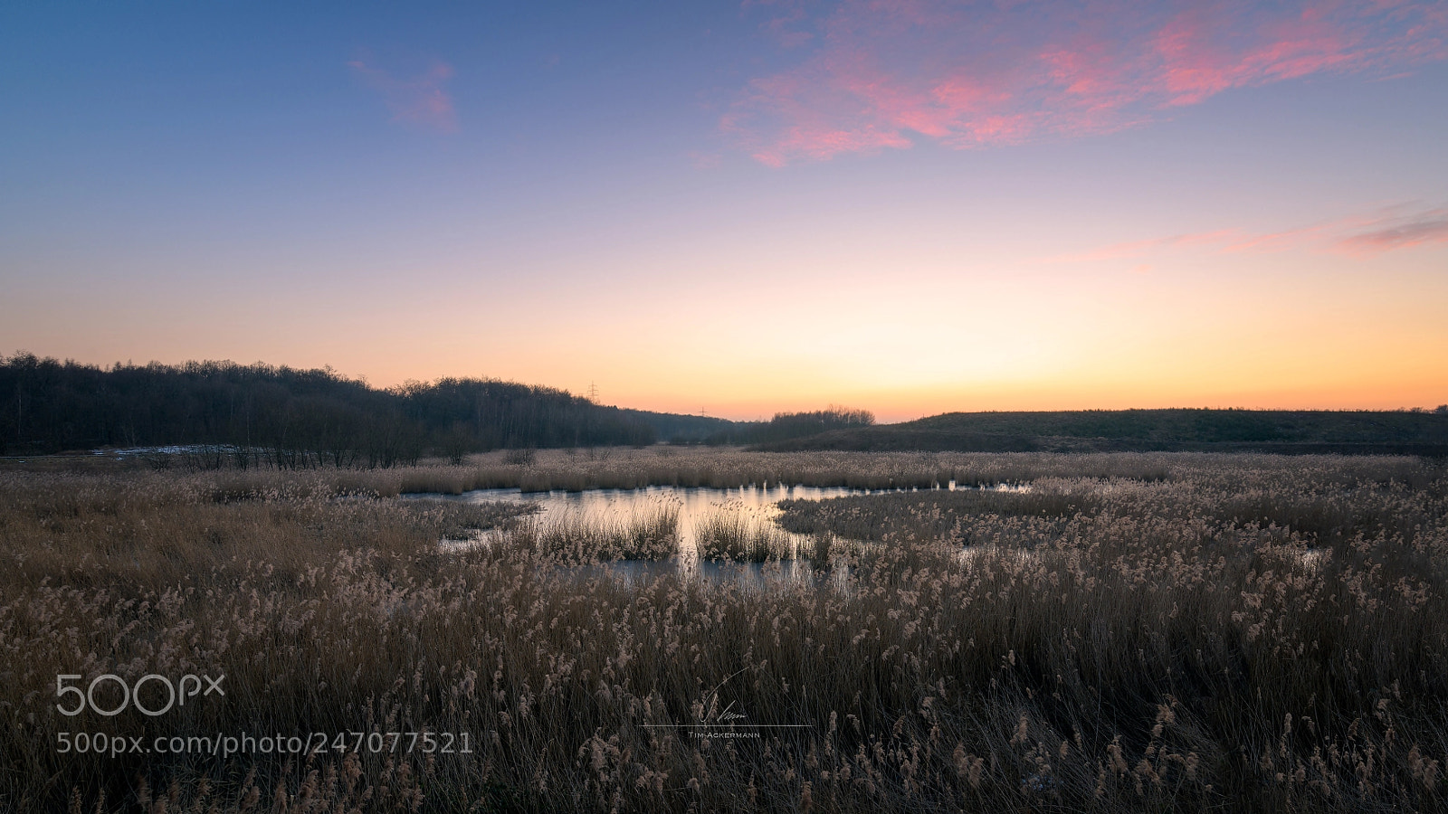 Nikon D850 sample photo. Sunset view landsweiler- reden photography