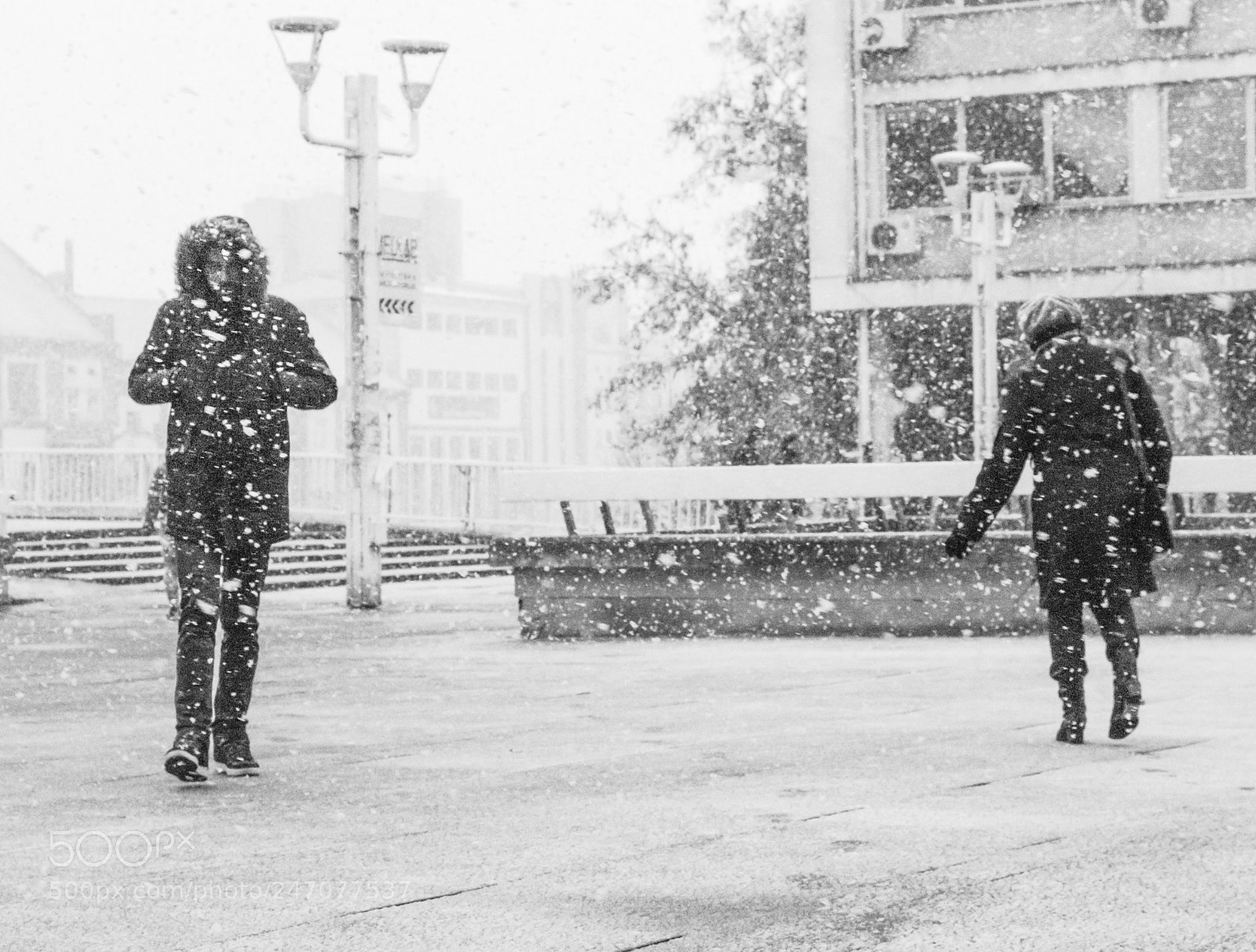 Nikon D80 sample photo. Snow photography