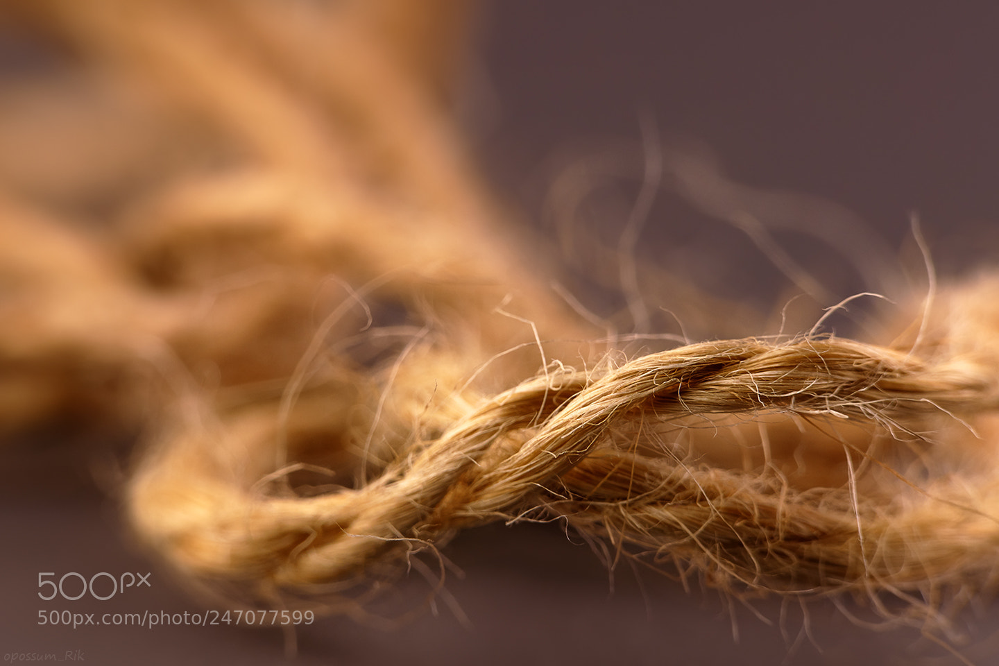 Panasonic Lumix DMC-FZ1000 sample photo. Twine cord macro photography