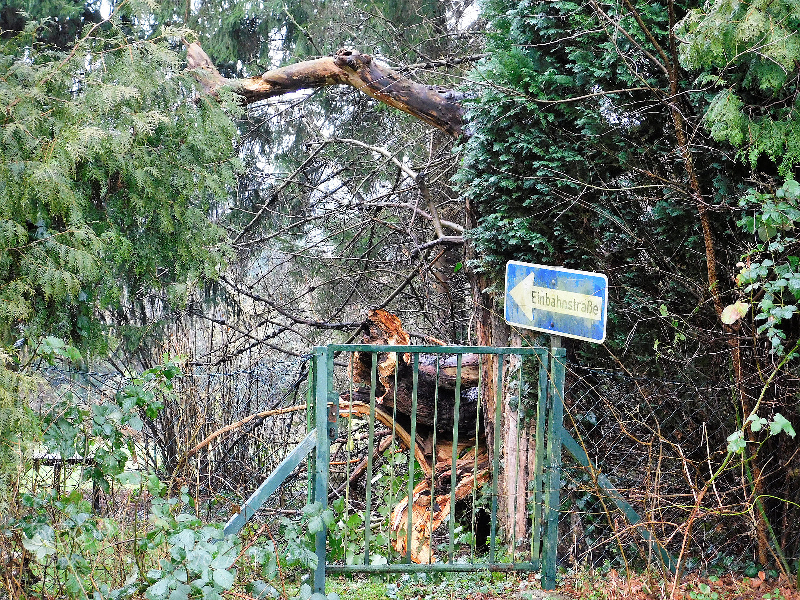 Nikon Coolpix B500 sample photo. Einbahnstrasse photography