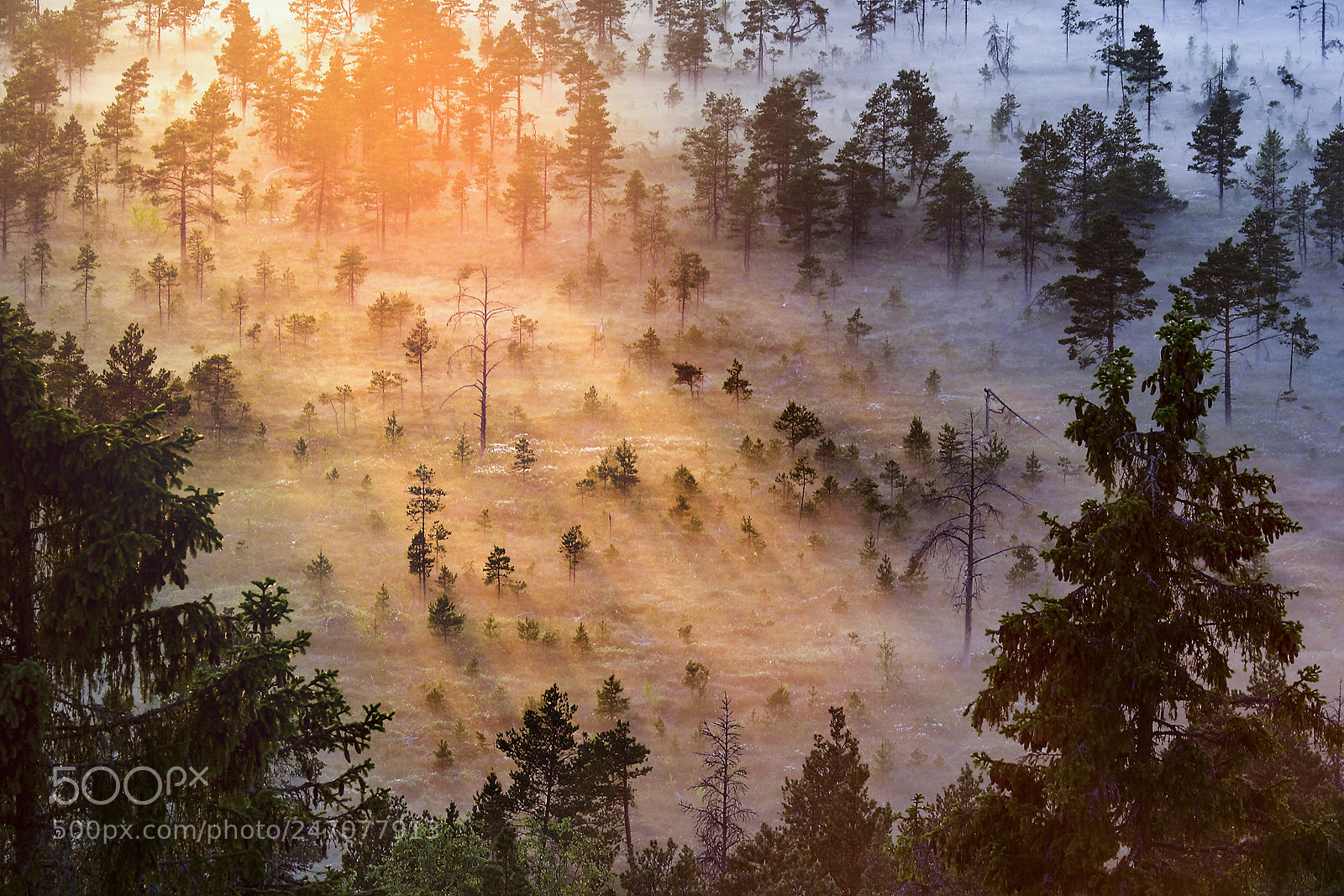 Canon EOS 10D sample photo. Sunrise photography