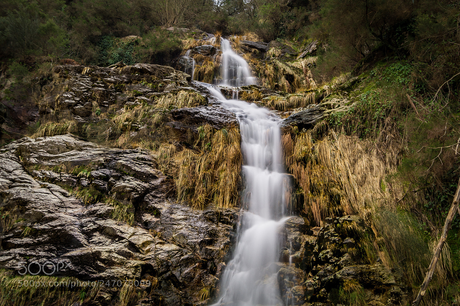 Sony SLT-A58 sample photo. Fiftythree #project365 cascade photography