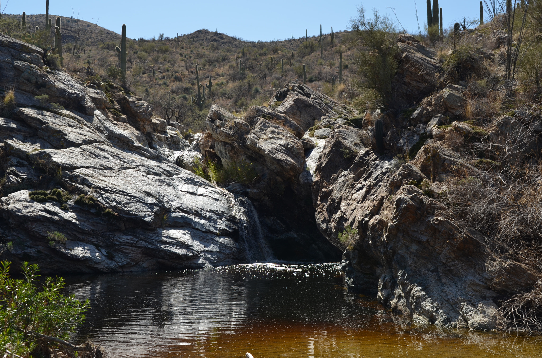 AF Zoom-Nikkor 35-80mm f/4-5.6D sample photo. Wild horse canyon photography