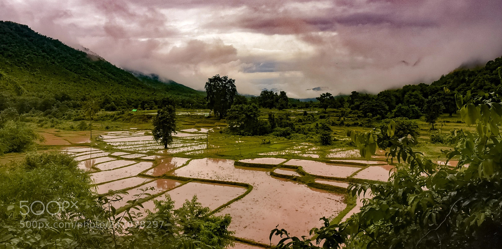 Nikon D7200 sample photo. Moody view photography