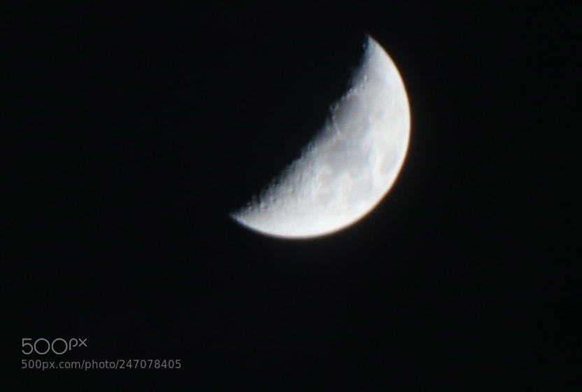 Canon EOS 80D sample photo. Untitled photography