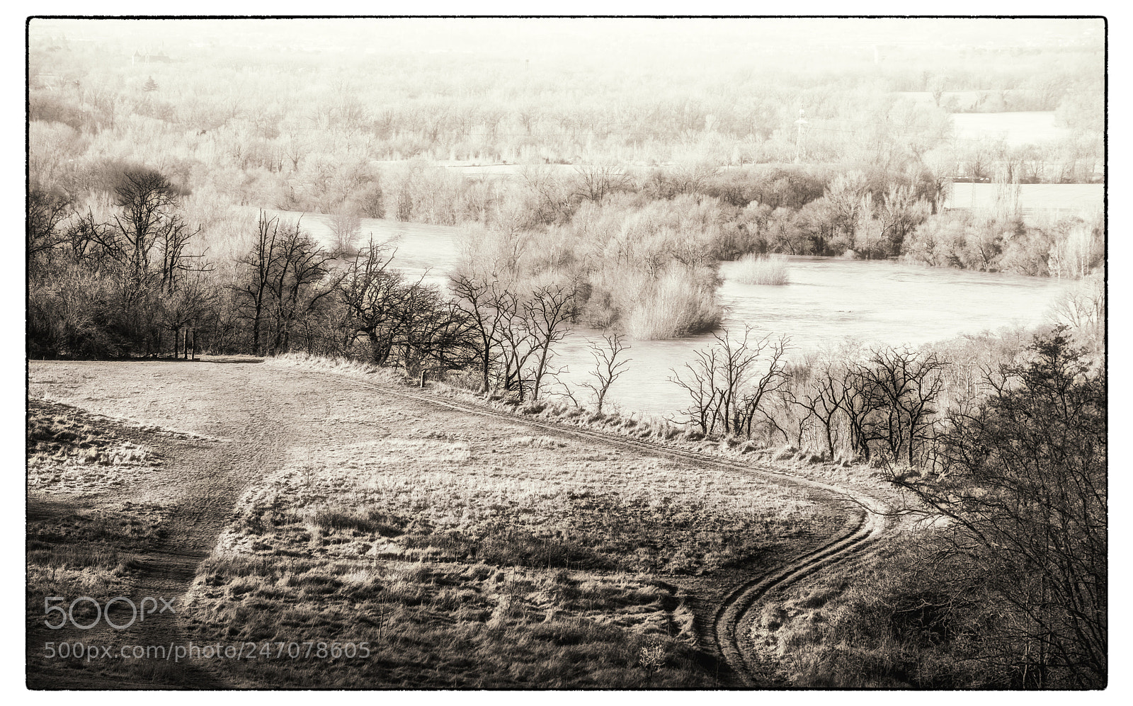 Nikon D7200 sample photo. Swollen river photography