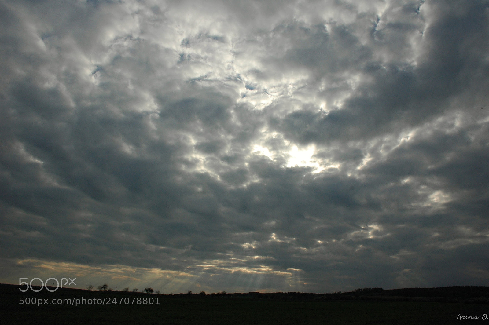 Nikon D70 sample photo. Untitled photography