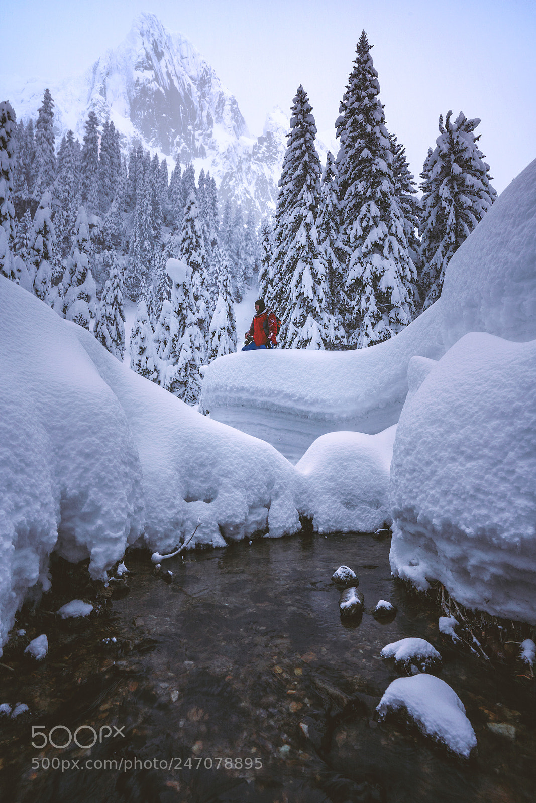 Sony a7R III sample photo. True winter photography