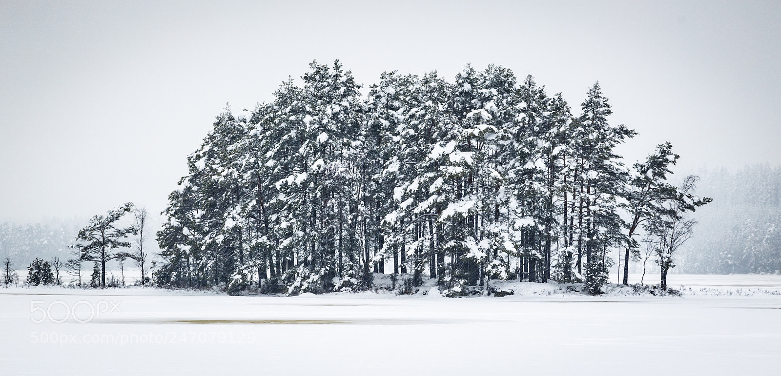 Canon EOS 5DS R sample photo. Snow storm island photography