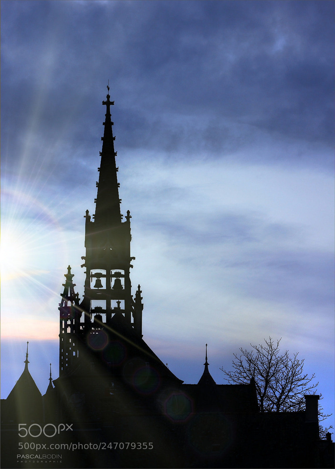 Canon EOS 60D sample photo. Dentelle noire photography