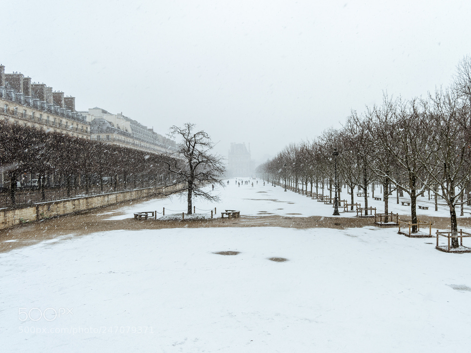 Nikon D3200 sample photo. Tuilerie paths photography