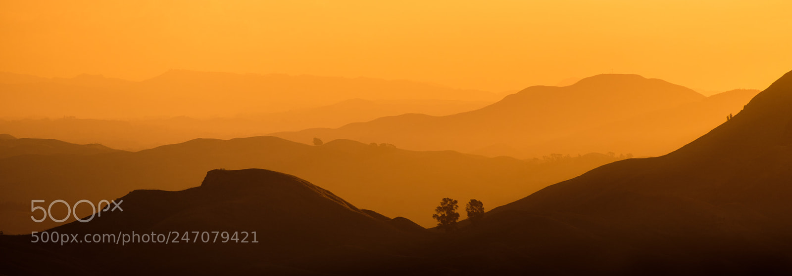 Fujifilm X-E3 sample photo. Layers of the tuki photography