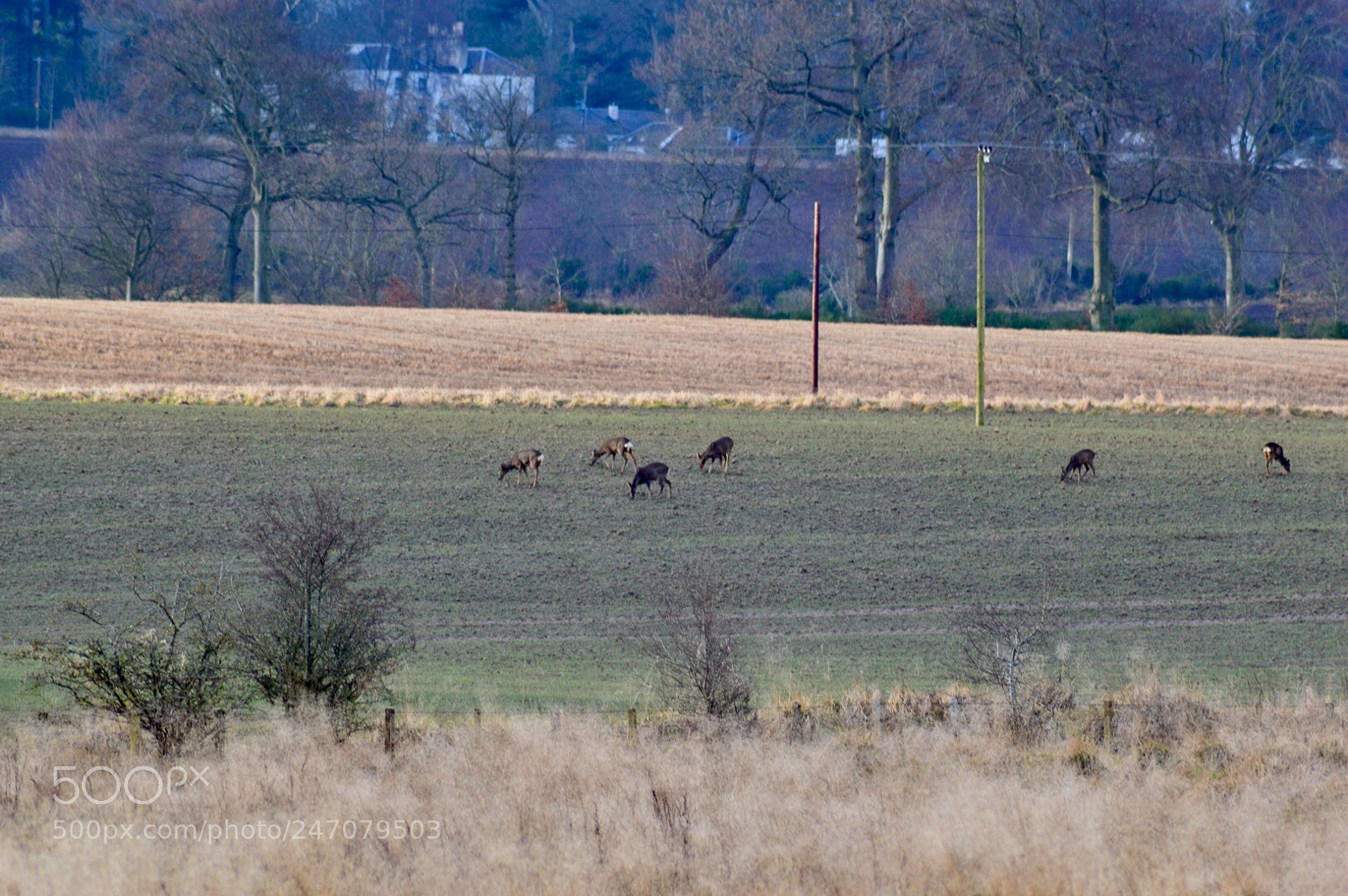 Nikon D3200 sample photo. Untitled photography