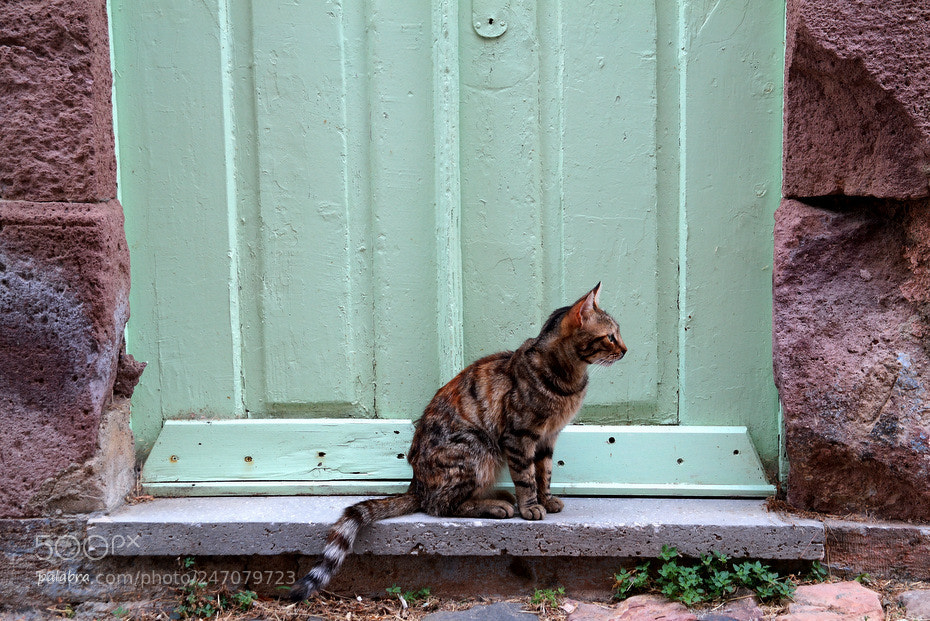 Samsung NX30 sample photo. ... photography