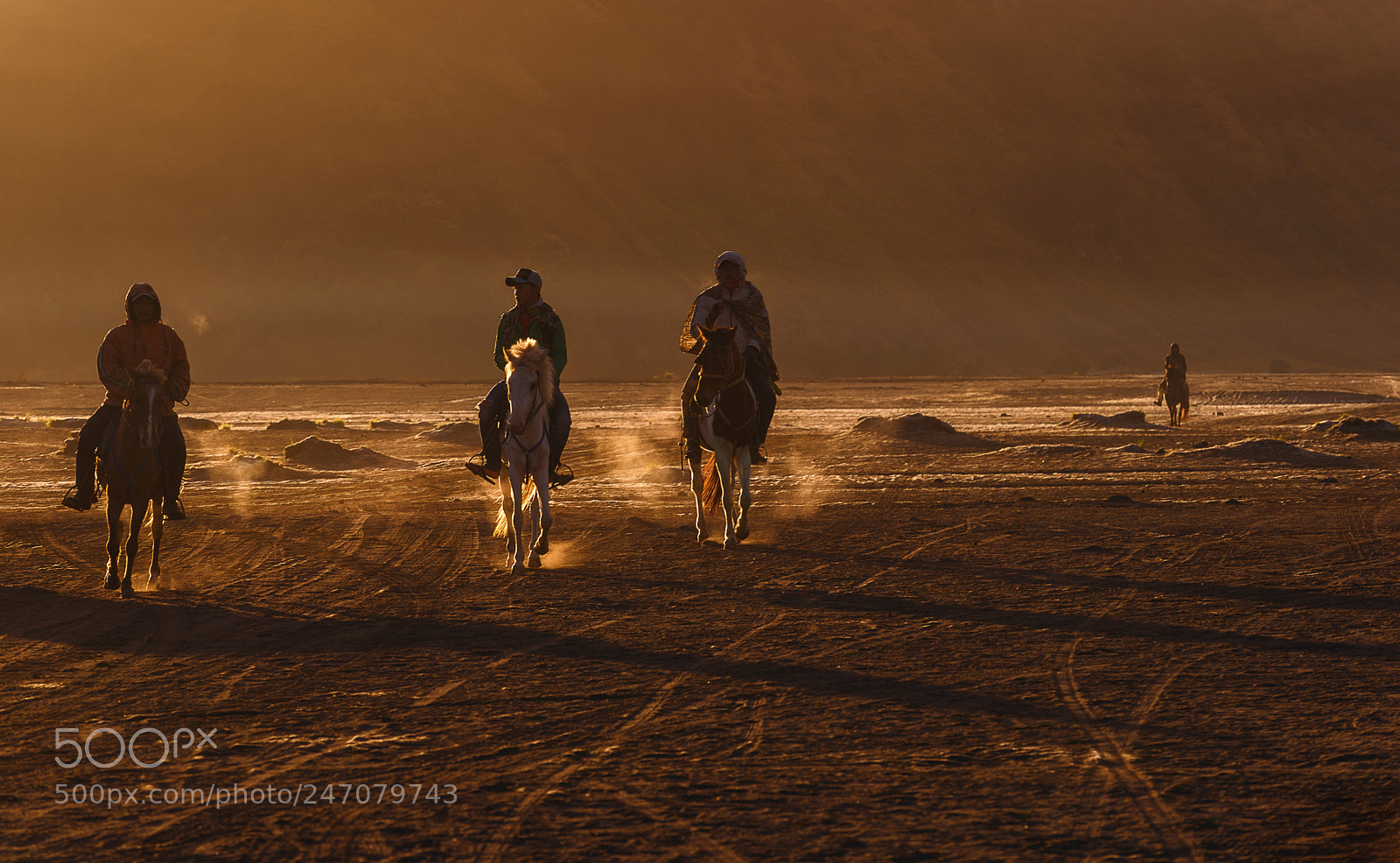Nikon D610 sample photo. Horsemen on their way photography