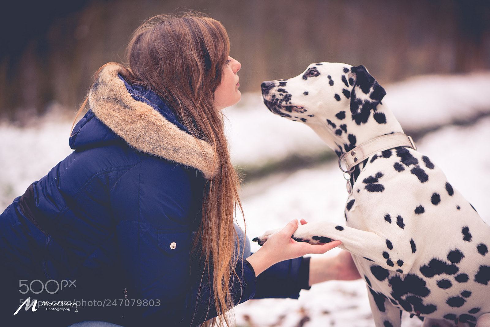 Sony a7R II sample photo. The best friend photography