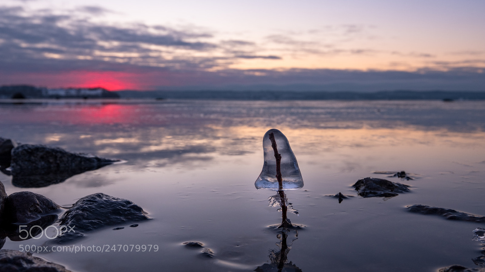 Fujifilm X-T20 sample photo. Ice mushroom photography