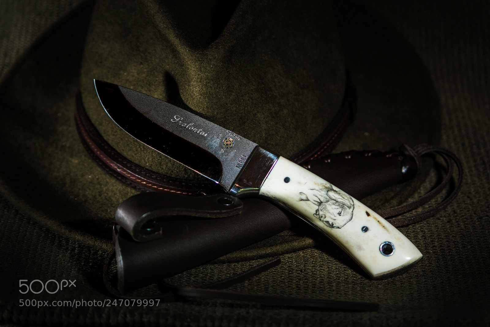 Canon EOS 600D (Rebel EOS T3i / EOS Kiss X5) sample photo. Vizsla-knife photography