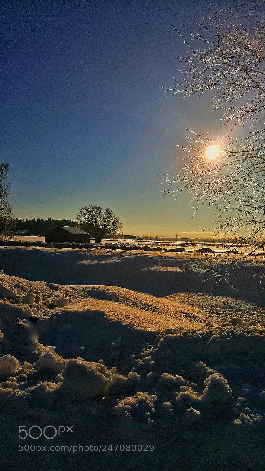 Samsung Galaxy S6 sample photo. A sunny winter day photography