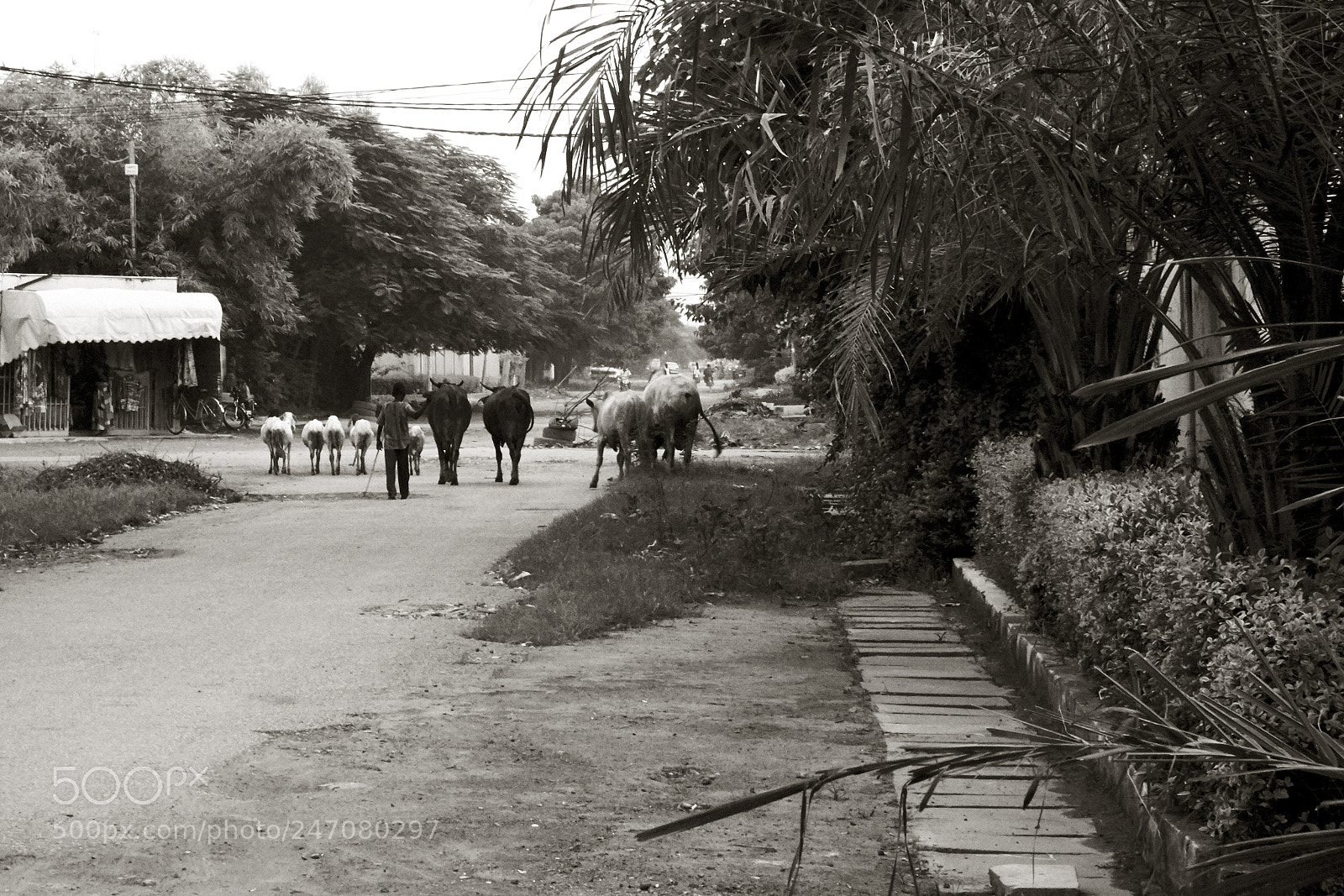 Sony Cyber-shot DSC-RX100 sample photo. Ouagadougou today photography