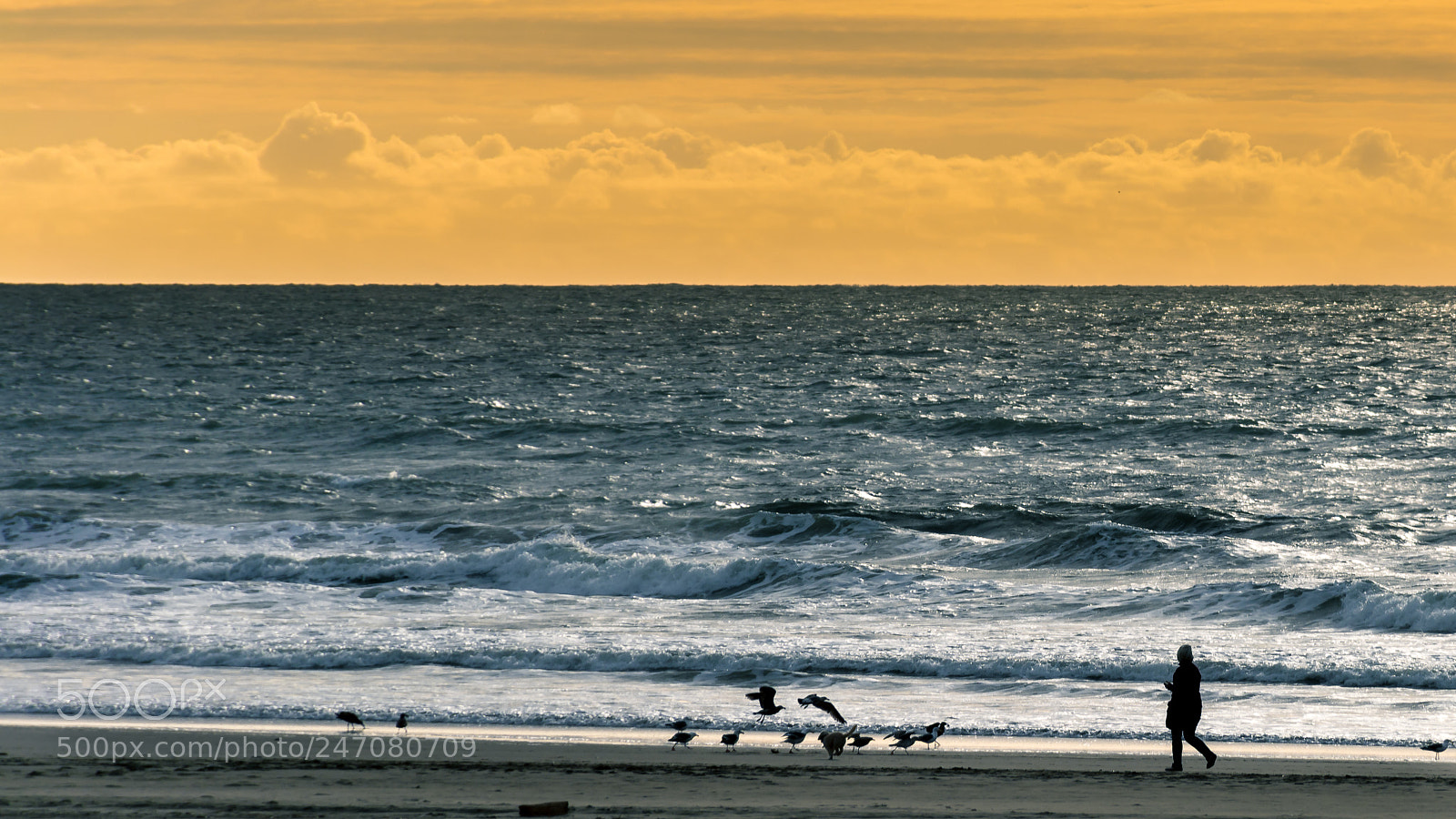 Nikon D5200 sample photo. Golden gate park beach photography