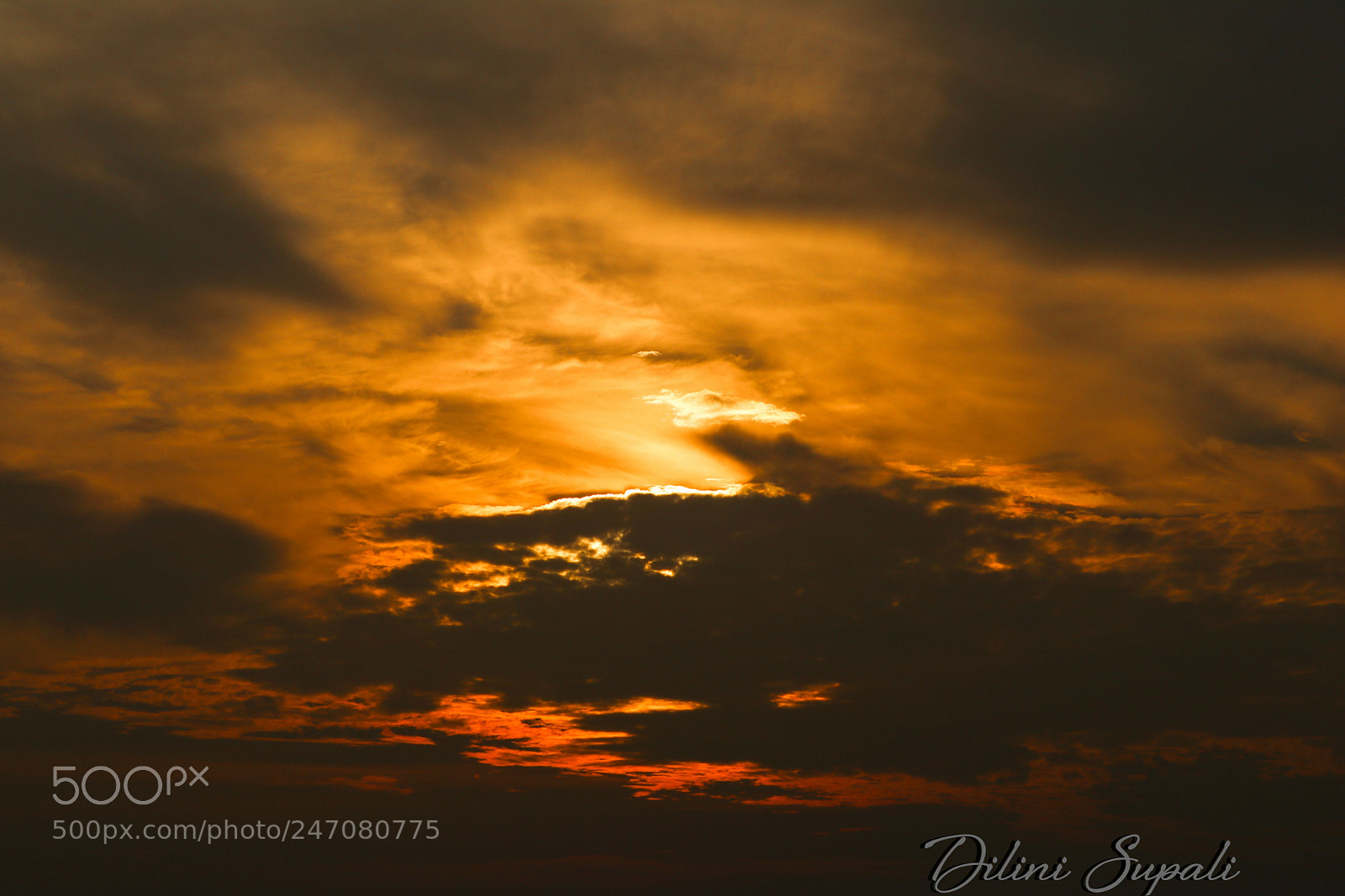 Canon EOS 80D sample photo. Golden hour photography