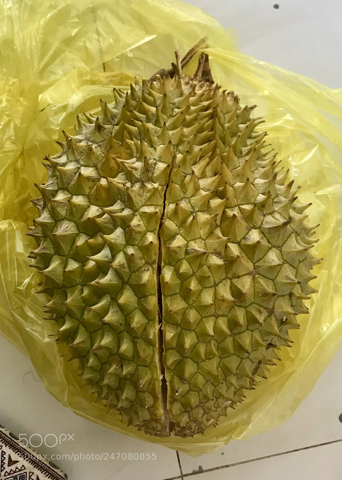 Apple iPhone 7 Plus sample photo. Durian  photography