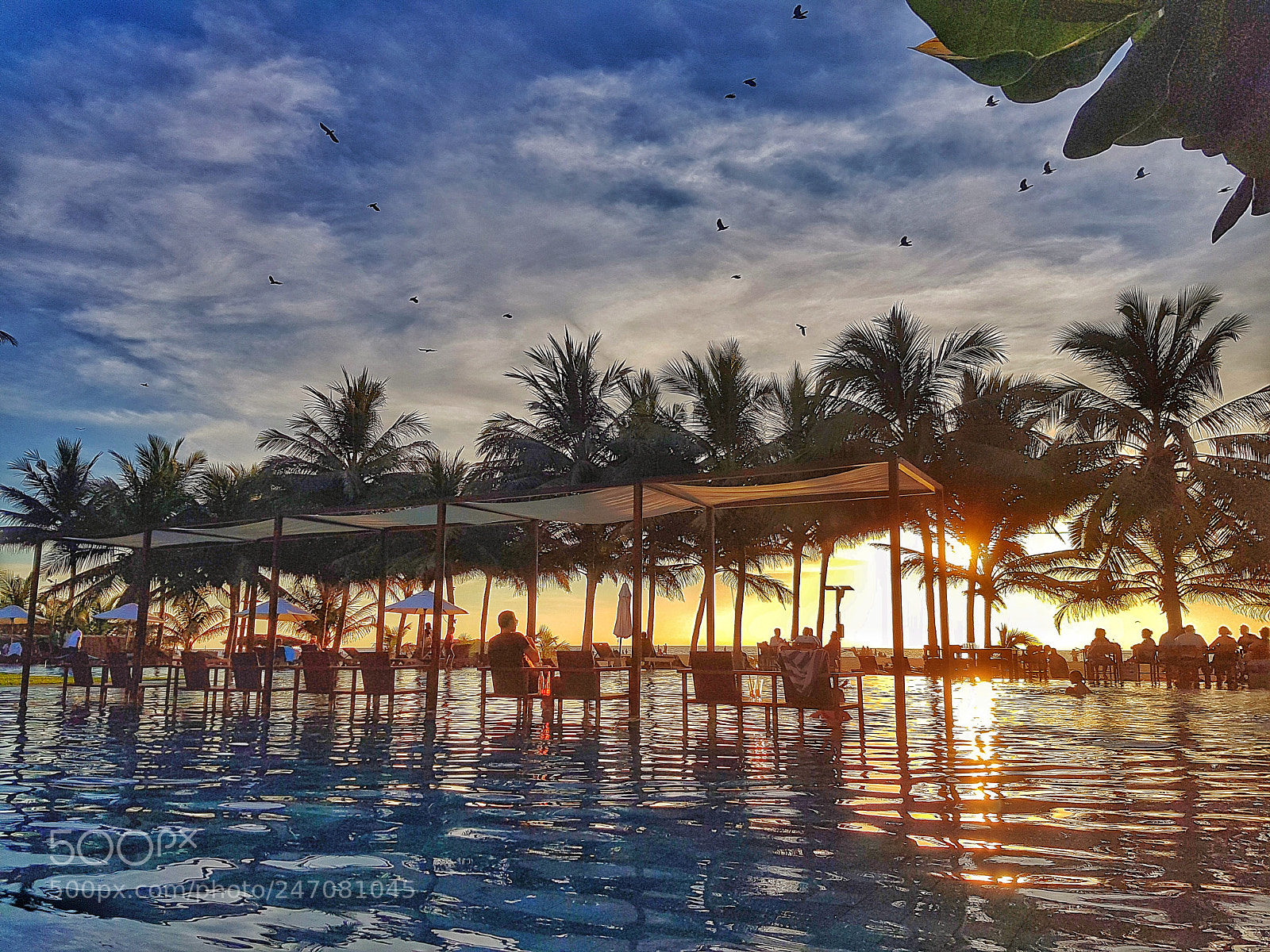 Samsung Galaxy S7 sample photo. Negombo photography