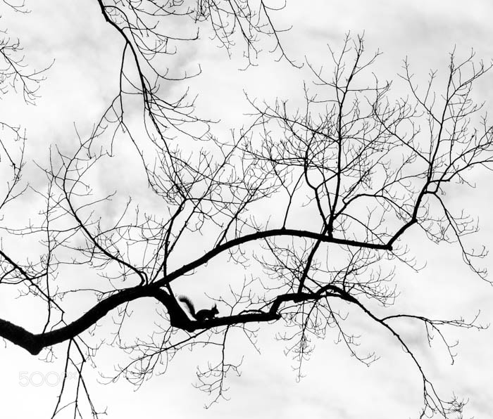 Nikon D7100 sample photo. Ombre... photography