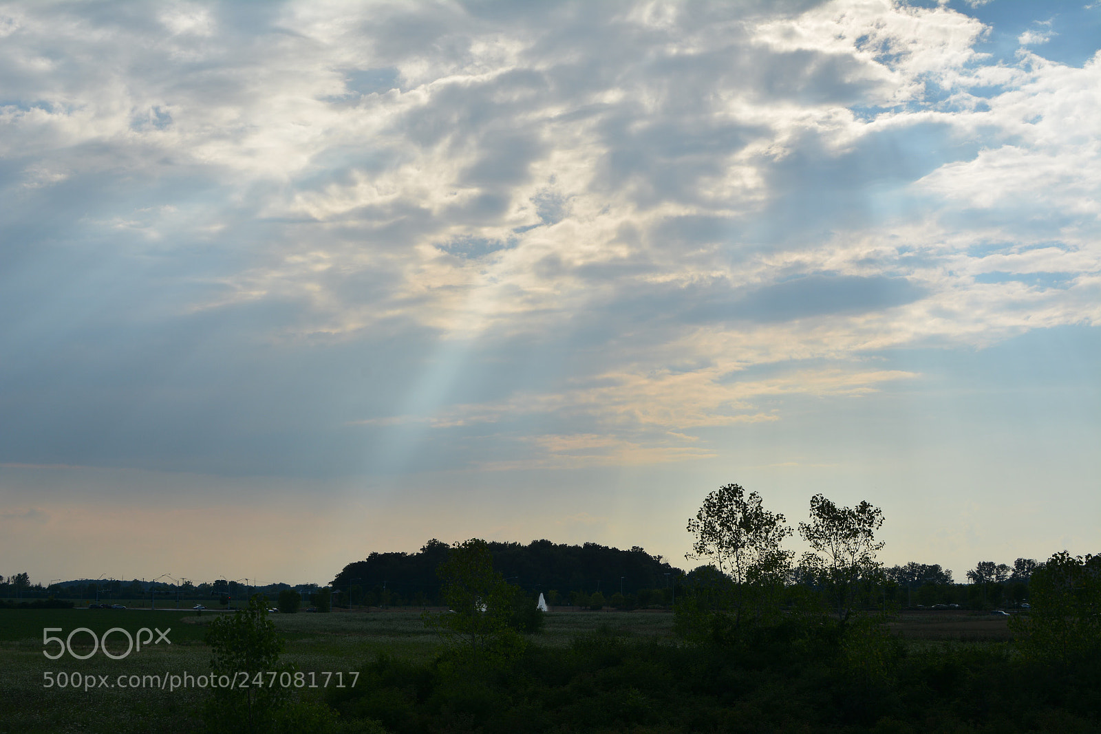 Nikon D7100 sample photo. Signal from above photography