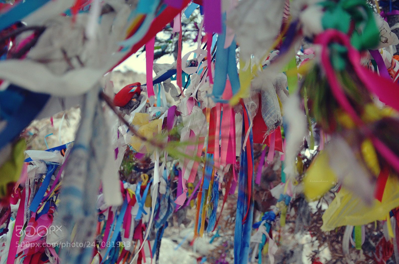 Nikon D5100 sample photo. Cyprus photography