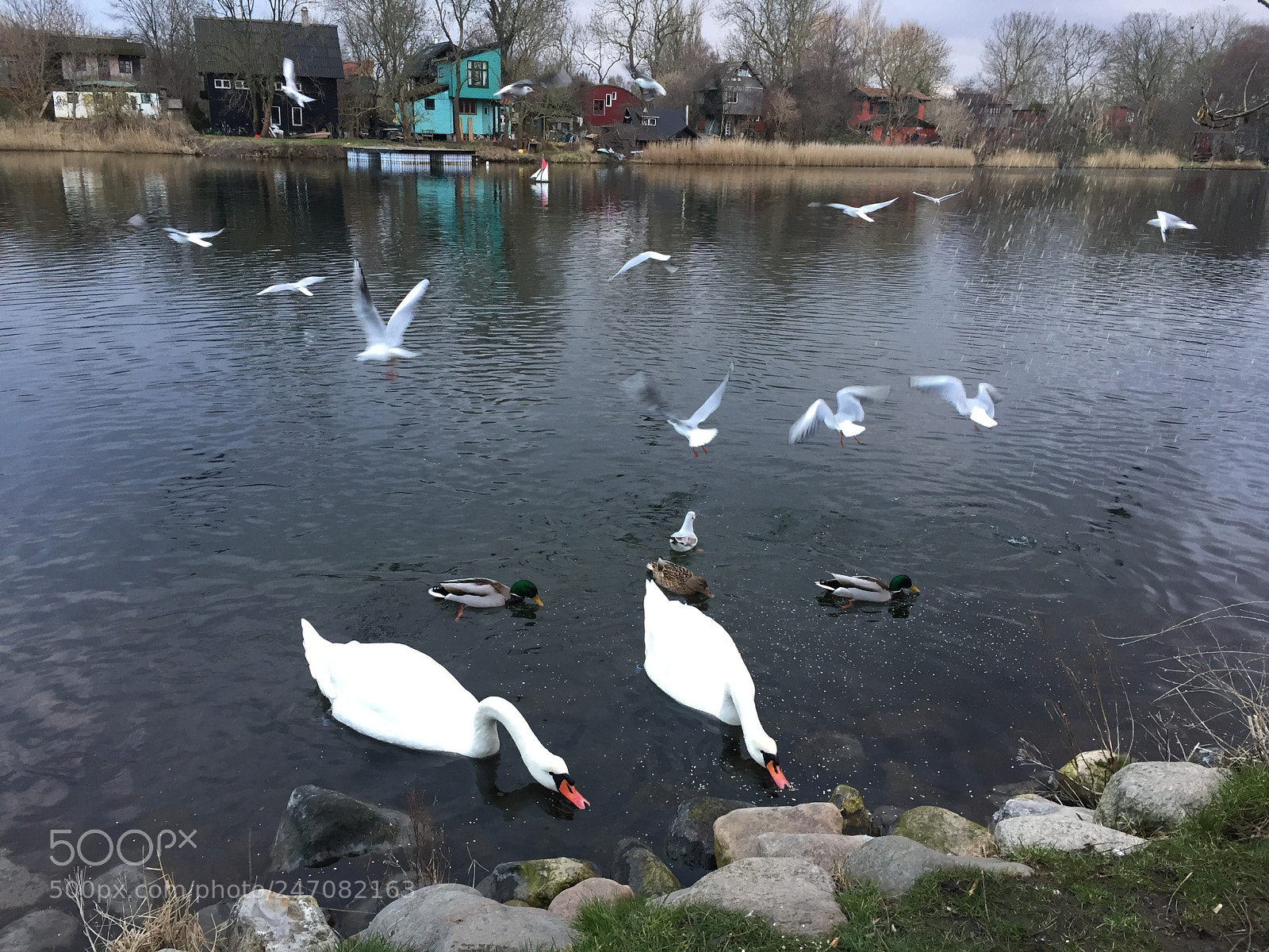 Apple iPhone 6 sample photo. Christiania photography