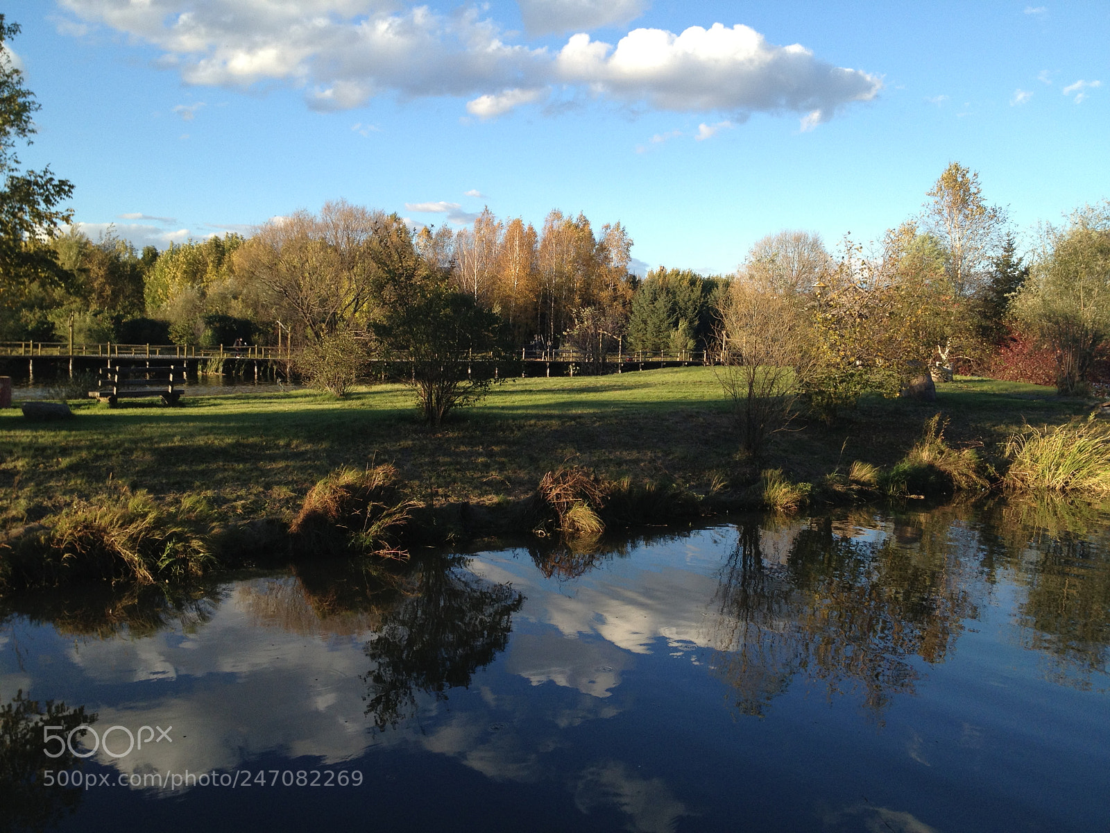 Apple iPhone 4S sample photo. Untitled photography