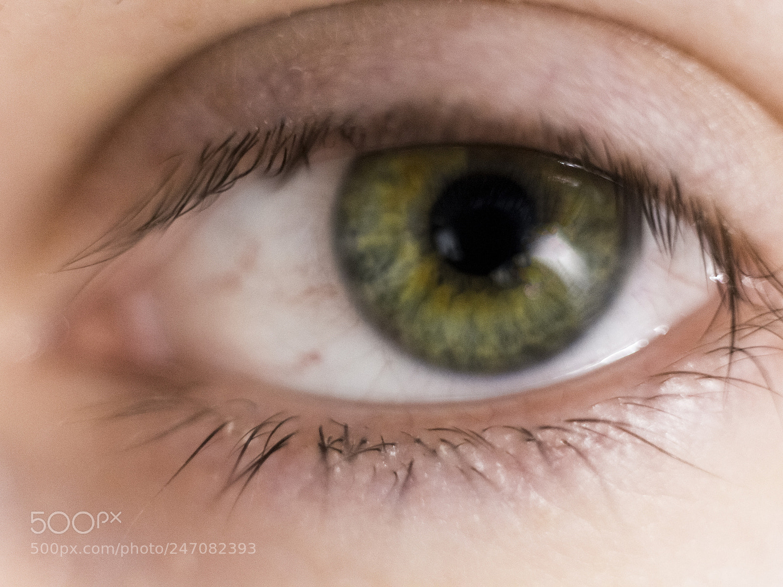 Canon EOS M sample photo. My green eye! photography