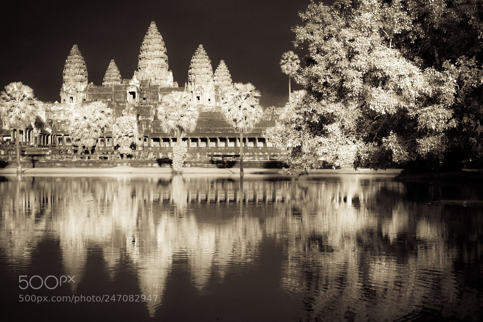 Nikon D810 sample photo. Angkor wat red photography