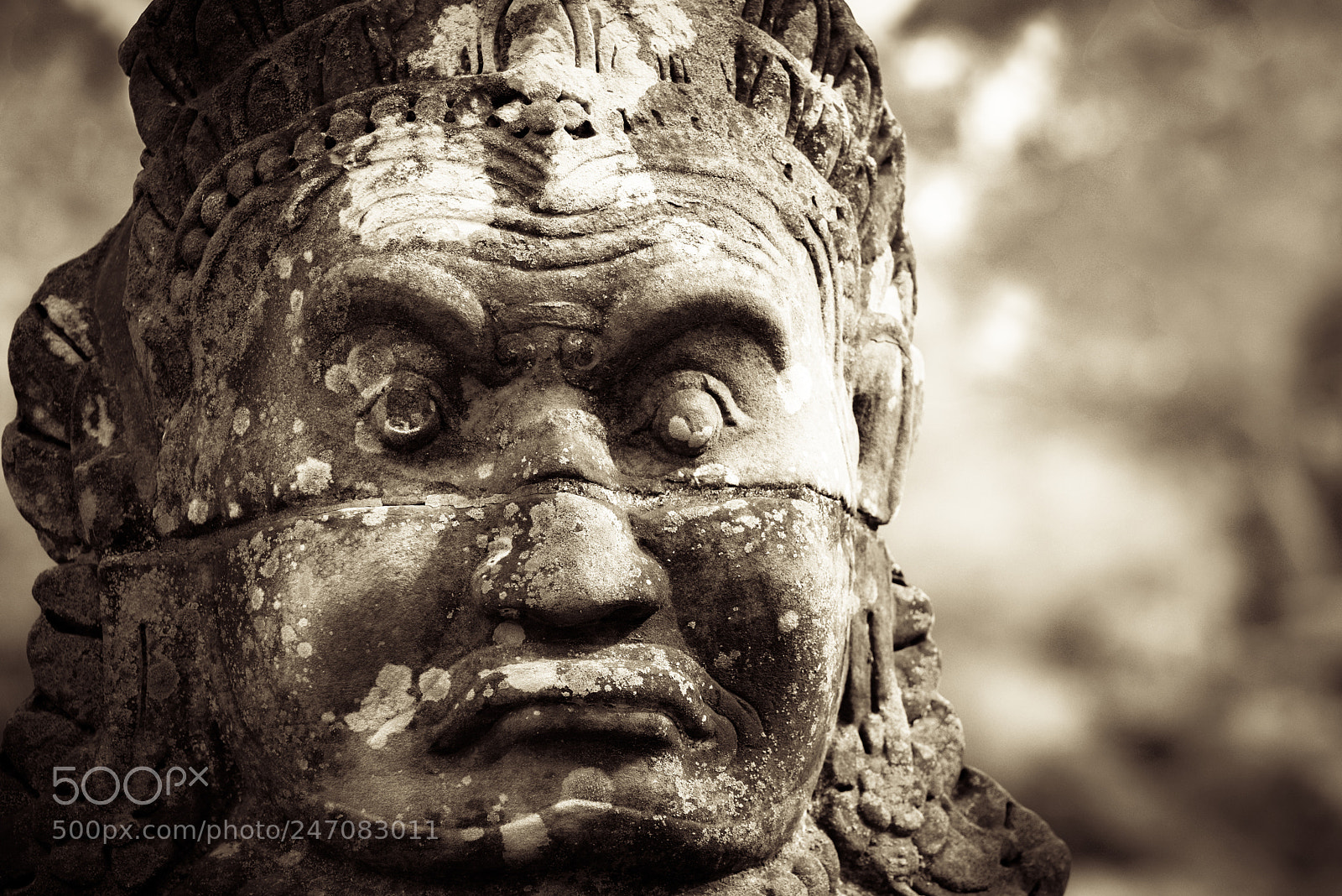 Nikon D810 sample photo. Giant of cambodia photography