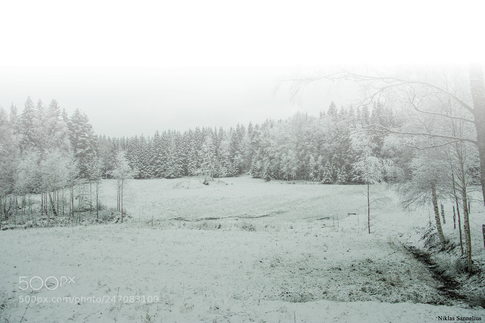 Nikon D3400 sample photo. Vinterlandskap! photography