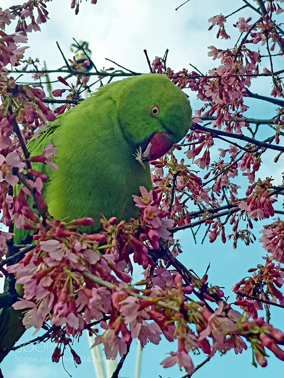 Samsung Galaxy S8 sample photo. Untitled photography